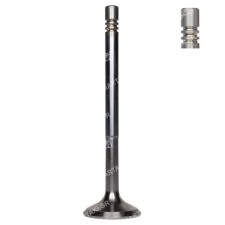 Exhaust valve SMART 450 451...