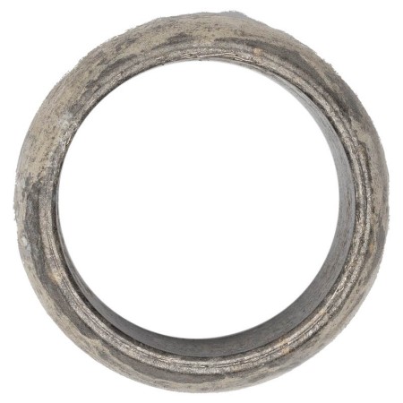Exhaust fitting ring SMART 451 (1000cc)