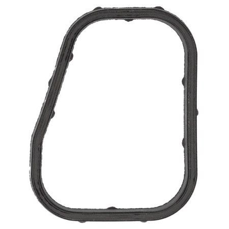 Thermostat gasket SMART 450 452 (600cc 700cc)