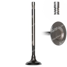 R6799/SNT